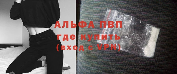 индика Белокуриха
