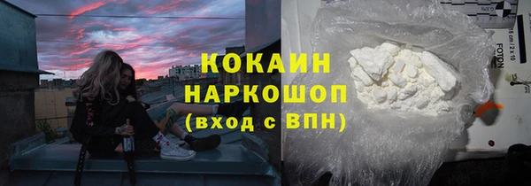 индика Белокуриха