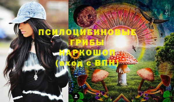 индика Белокуриха