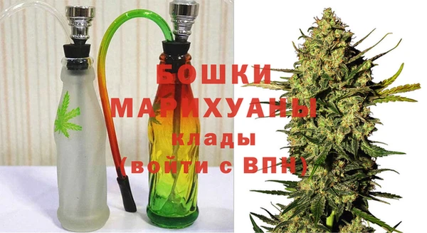 индика Белокуриха