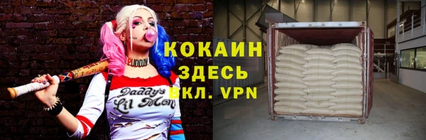 индика Белокуриха
