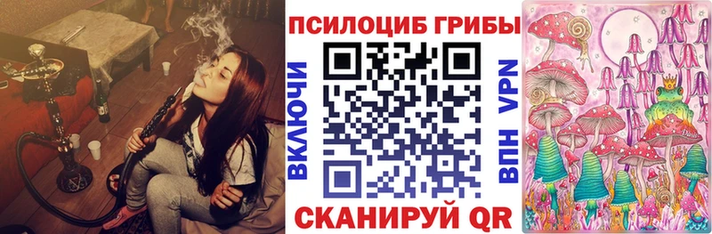 что такое   Козельск  Псилоцибиновые грибы прущие грибы 